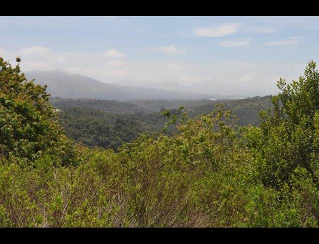 LAND FOR SALE IN WILDERNESS HEIGHTS